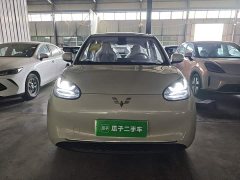 Wuling Binguo 2025 333km Joy Edition - ფოტო 3