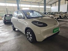 Wuling Binguo 2025 333km Joy Edition - ფოტო 4