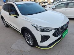 Haval Chitu Jingxiang Edition 1.5T Purple Copper Rabbit - ფოტო 4