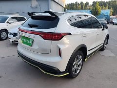 Haval Chitu Jingxiang Edition 1.5T Purple Copper Rabbit - ფოტო 7