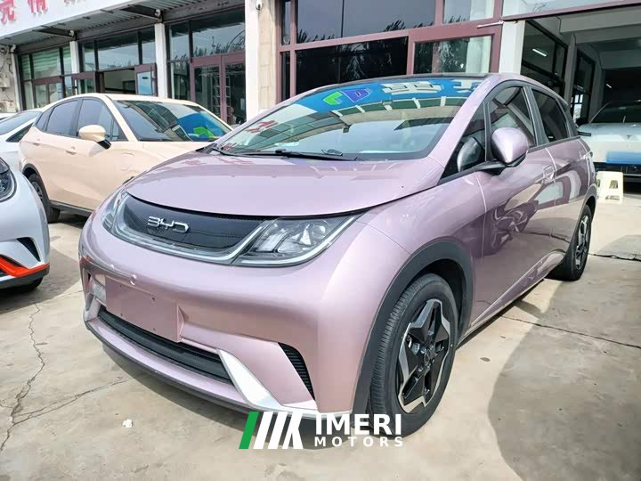 BYD Dolphin 405km Fashion Edition - ავტომობილი ჩინეთიდან