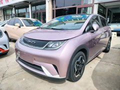 BYD Dolphin 405km Fashion Edition - ფოტო 1