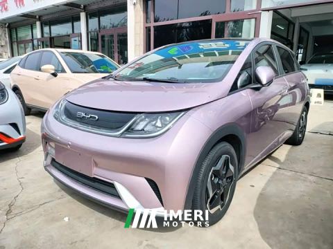 2022 BYD Dolphin 405km Fashion Edition