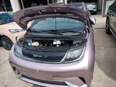 BYD Dolphin 405km Fashion Edition - ფოტო 20