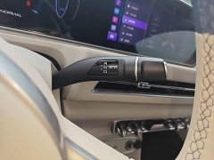 ORA Good Cat 401km Standard Range Deluxe Edition LFP Battery - ფოტო 14