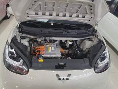 Wuling Binguo 203km Light Enjoy Edition - ფოტო 20