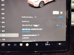 Tesla Model Y Rear-Wheel Drive - ფოტო 12