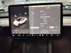 Tesla Model Y Rear-Wheel Drive - ფოტო 13