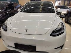 Tesla Model Y Rear-Wheel Drive - ფოტო 3