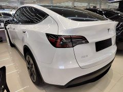 Tesla Model Y Rear-Wheel Drive - ფოტო 5