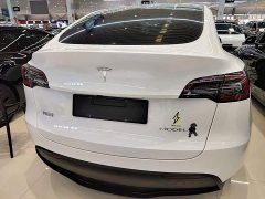 Tesla Model Y Rear-Wheel Drive - ფოტო 6