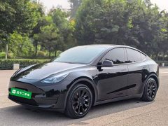 Tesla Model Y 2022 Facelift Rear-Wheel Drive - ფოტო 1