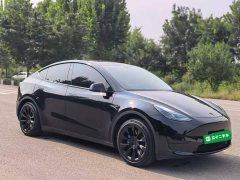 Tesla Model Y 2022 Facelift Rear-Wheel Drive - ფოტო 4
