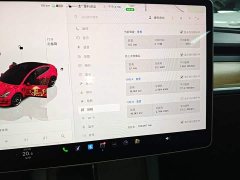 Tesla Model 3 2022 Rear-Wheel Drive - ფოტო 12