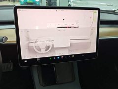 Tesla Model 3 2022 Rear-Wheel Drive - ფოტო 13