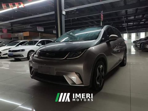 2022 BYD Dolphin 405km Fashion Edition - ავტომობილი ჩინეთიდან