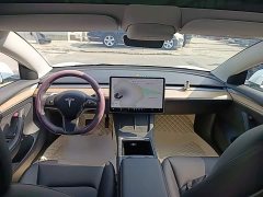 Tesla Model 3 Standard Range RWD Upgrade 3D6 - ფოტო 10