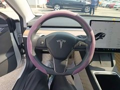 Tesla Model 3 Standard Range RWD Upgrade 3D6 - ფოტო 11