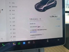 Tesla Model 3 Standard Range RWD Upgrade 3D6 - ფოტო 12
