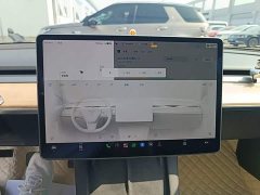Tesla Model 3 Standard Range RWD Upgrade 3D6 - ფოტო 13