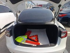 Tesla Model 3 Standard Range RWD Upgrade 3D6 - ფოტო 19