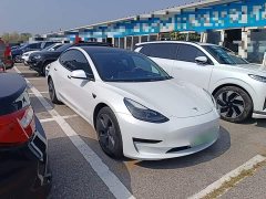 Tesla Model 3 Standard Range RWD Upgrade 3D6 - ფოტო 4