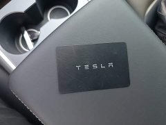 Tesla Model 3 Standard Range RWD Upgrade 3D6 - ფოტო 9