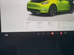Tesla Model Y Rear-Wheel Drive - ფოტო 12