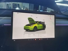 Tesla Model Y Rear-Wheel Drive - ფოტო 13