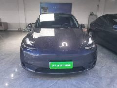 Tesla Model Y Rear-Wheel Drive - ფოტო 3