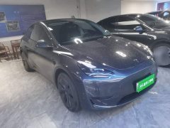 Tesla Model Y Rear-Wheel Drive - ფოტო 4