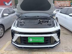 Lynk & Co Geely Lynk & Co 03 2.0T Diesel DCT Champion Edition Pro - ფოტო 20