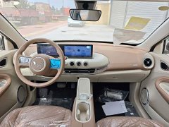 Wuling Binguo 2025 333km Joy Edition - ფოტო 10