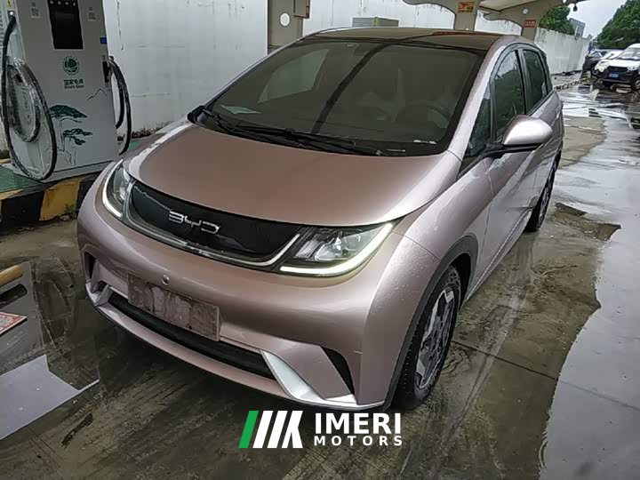 BYD Dolphin 405km Fashion Edition - ავტომობილი ჩინეთიდან
