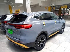 Haval H6 National Trend Edition 1.5T Automatic Urban Version - ფოტო 7