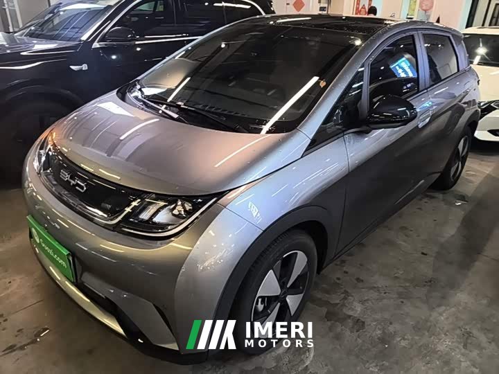 BYD Dolphin 420km Fashion Edition - ავტომობილი ჩინეთიდან