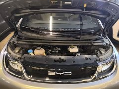 BYD Dolphin 420km Fashion Edition - ფოტო 20
