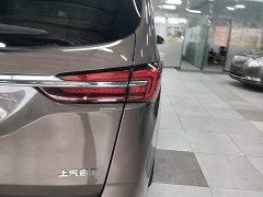 Buick GL8 Land Executive Cabin 652T Luxury - ფოტო 6
