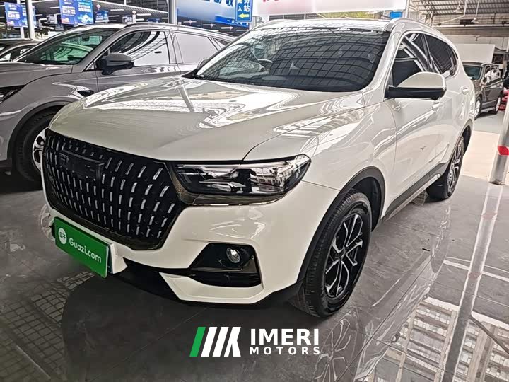 Haval H6 National Trend Edition 1.5T Automatic Urban Version - ავტომობილი ჩინეთიდან