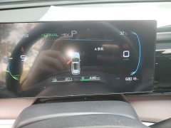 BYD Song Pro New Energy DM-i 71KM Glory Edition Pilot - ფოტო 12