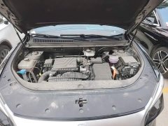 BYD Song Pro New Energy DM-i 71KM Glory Edition Pilot - ფოტო 20