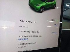 Tesla Model Y Facelift Rear-Wheel Drive - ფოტო 12