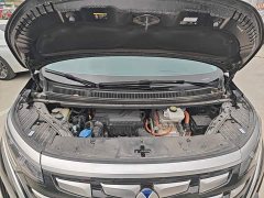 Denza D9 2022 DM-i 970 AWD Flagship - ფოტო 20