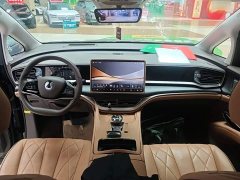 Denza BYD Denza D9 2022 DM-i 970 AWD Premium Edition - ფოტო 10