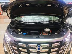 Denza BYD Denza D9 2022 DM-i 970 AWD Premium Edition - ფოტო 20