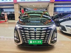 Denza BYD Denza D9 2022 DM-i 970 AWD Premium Edition - ფოტო 3