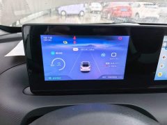 Wuling Binguo 333km Quick Enjoy Edition - ფოტო 12