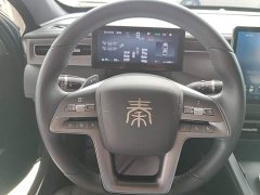 BYD Qin PLUS EV Intelligent Driving Edition 510KM Leading - ფოტო 11