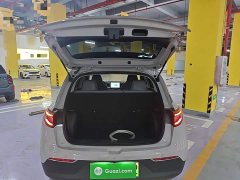Geely Star Wish 410km Freedom Edition - ფოტო 19