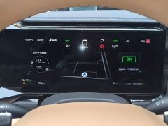 Fangchengbao Leopard 8 Zhiyong Flagship 6-Seater - ფოტო 12